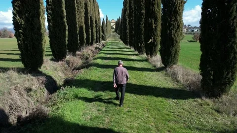 Tracking Man walking beetwen his trees cypress house vill path tuscany Italy Stock-Footage 184208618
