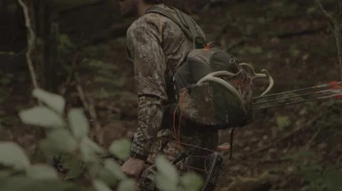 Tracking Medium/Wide shot of an Archer through the woods. Stock-Footage 53644533