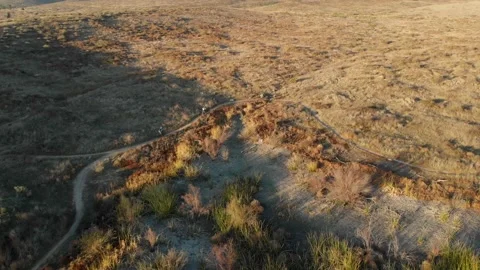 Tracking Mountain Bikers Stockbeeldmateriaal 221376561