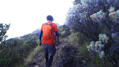 TRACKING IN THE MOUNTAIN AT CENTRAL JAVA Stock Footage 217396521
