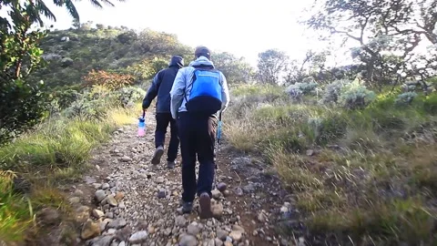 TRACKING IN THE MOUNTAIN AT CENTRAL JAVA Stock Footage 217396747