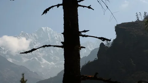 Tracking next to tree with Himalaya mountain peak in background Stock-Footage 101444444