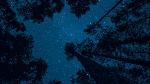 Tracking nightsky time lapse 動画素材 77956983