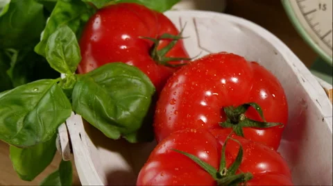 Tracking over tomatoes, 4k UHD Stock Footage 49254123