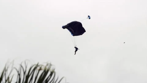 Tracking A Parachutist Soaring Through The Sky Behind A Palm Tree - Panama City, Stock Footage 196900729