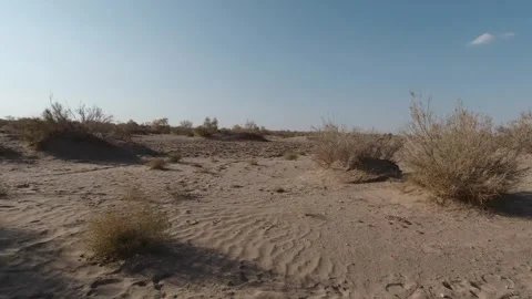 Tracking past dry desert shrubs under a pale blue sky Stock Footage 319794543