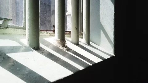 Tracking past shadows of bars on a prison cell window at Robben Island Stock Footage