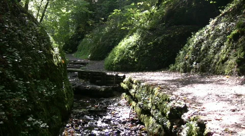 Tracking path 스톡 동영상 339089