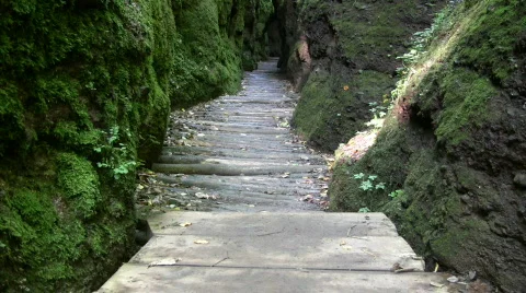 Tracking path Видео 339709