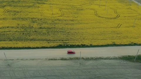 Tracking a red car in a field Stock Footage 130636508