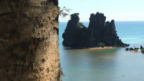 Tracking reveal of Brooding Hen, famous rock formation, Hienghène, New Stock Footage 149807669