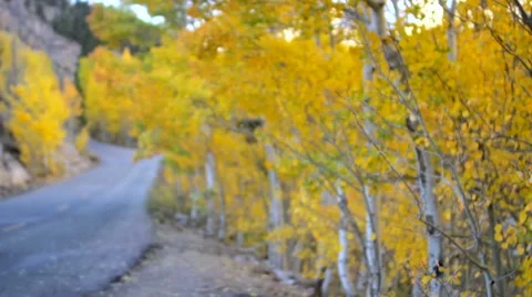 Tracking road 動画素材 57377400