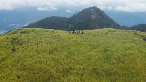 Tracking Savana Drone Stock Footage 169500344