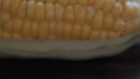 Tracking SC 004 Stock Footage 108615008