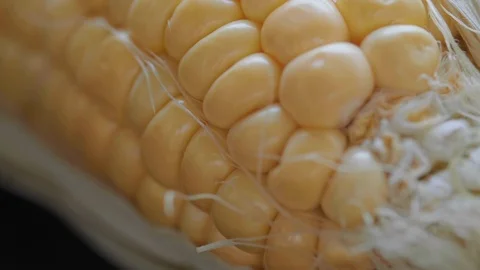 Tracking SC 005 Stock Footage 108615012