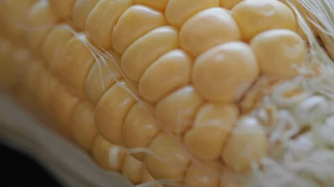 Tracking SC 007 Stock Footage 108615166