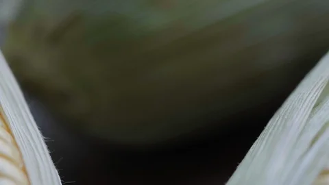 Tracking SC 010 Stock Footage 108638638
