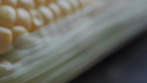 Tracking SC 012 Stock Footage 108638596