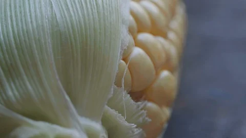 Tracking SC 017 Stock Footage 108638956