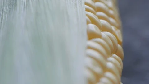 Tracking SC 018 Stock Footage 108638946