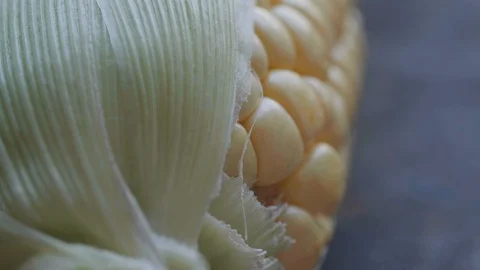 Tracking SC 019 Stock Footage 108638921