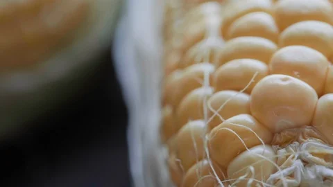 Tracking SC 021 Stock Footage 108639140