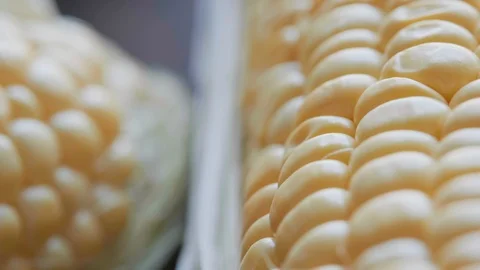 Tracking SC 022 Stock Footage 108639222