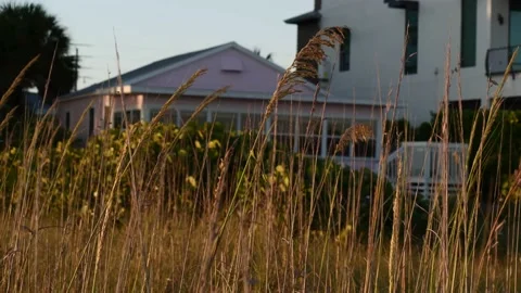 Tracking Sea Oats in Front of Old Florida Pink Beach Cottage at Golden Hour Stock Footage 154880230