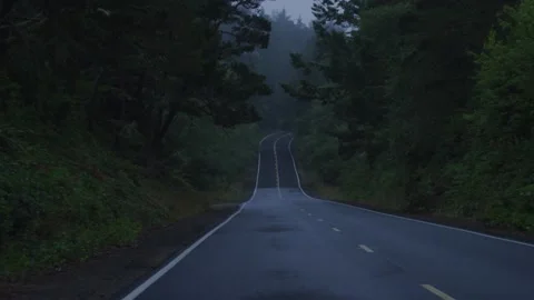 Tracking shot above two lane highway in dark rainforest in Tillamook, Oregon Stock Footage 220313319