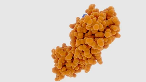 Tracking shot to the active site of the coronavirus main protease Stock Footage 132071027