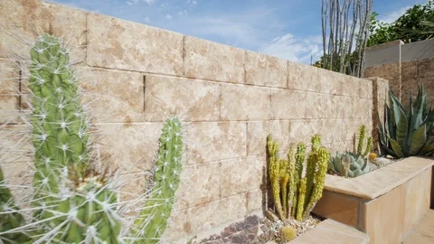Tracking Shot Along a Backyard Cactus Garden Stock Footage 116502312