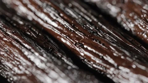 Tracking shot along Vanilla beans texture, Extreme macro shot, Rack focus Stock Footage 230377010