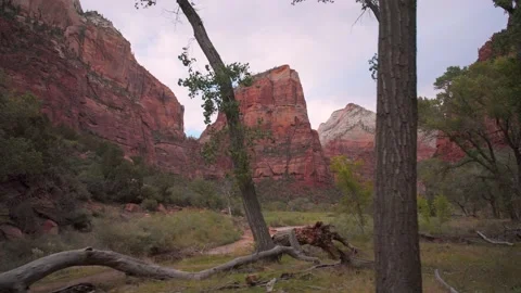 Tracking shot of Angles Landing Stock Footage 224220622