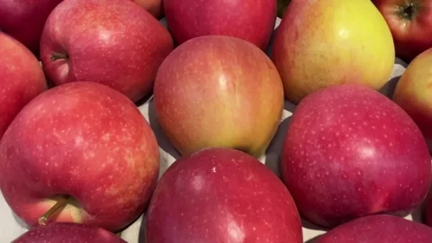 Tracking shot on apples displayed Video stock 317120689