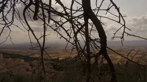 Tracking shot on Assisi hills Video stock 82112530