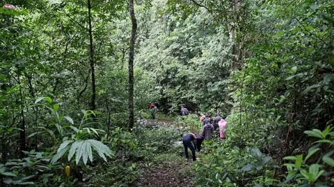 Tracking shot of backpackers or students crossing a small cascade or ditch .. Video stock 314206191