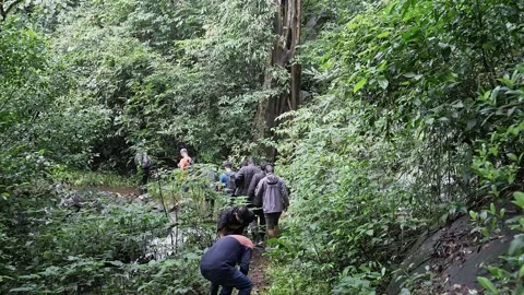Tracking shot of backpackers or students crossing a small cascade or ditch .. Stock Footage 314206198