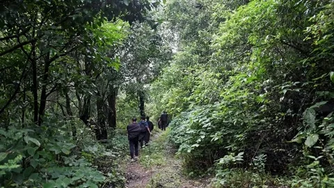 A tracking shot of backpackers or students hiking along a Western Ghats for.. Stock Footage 314206292