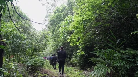 A tracking shot of backpackers or students hiking along a Western Ghats for.. Stock Footage 314206314