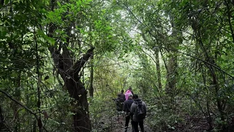 A tracking shot of backpackers or students hiking along a Western Ghats for.. Stock Footage 314206323