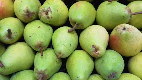 Tracking shot on Bartlett pears Stock Footage 287743490
