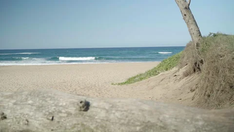 Tracking shot from the beach to a branch Stock Footage 254795062