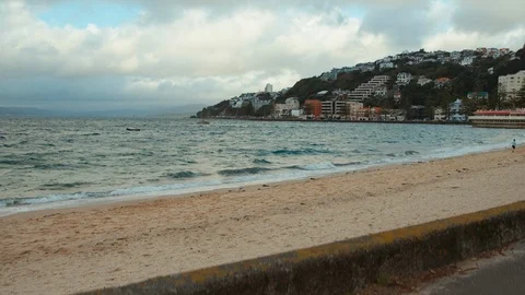 Tracking up shot beside park bench at Oriental Bay in Wellington Stock Footage 89893326