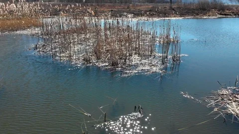 Tracking shot of a big lake Stock Footage 93132439