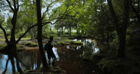 Tracking shot boy standing looking at river in forest Stock Footage 115648886
