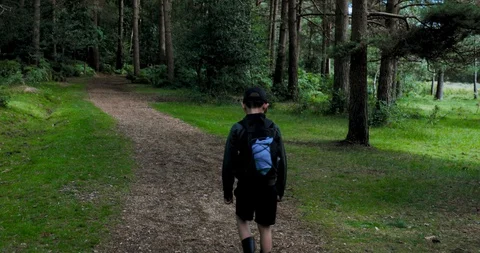 Tracking shot boy walking in forest Stock Footage 115645877