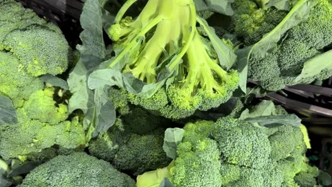 Tracking shot  Broccoli arranged in crates Stock Footage 325795431