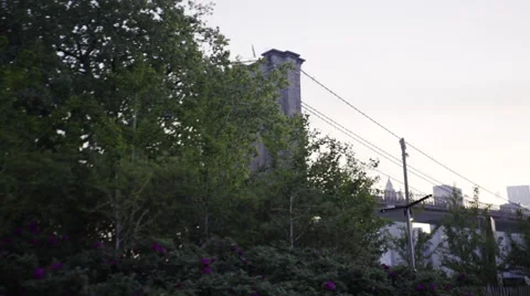 A tracking shot of the Brooklyn Stock Footage 63101831