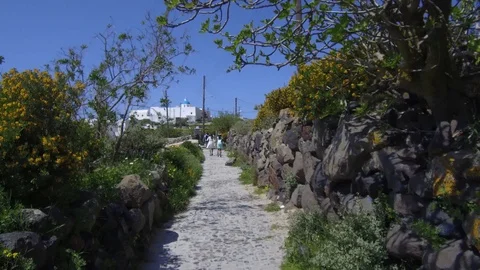 Tracking shot camera moves forward uphill in narrow pathway with stones on side Stock-Footage 92441072