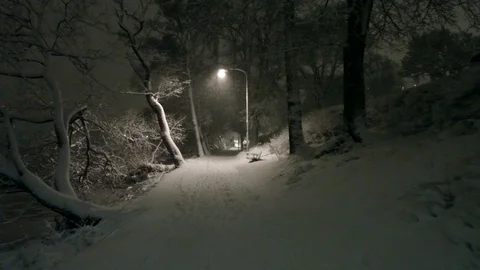 Tracking shot camera moves slowly forward in park with heavy snow during winter Stock Footage 92180006